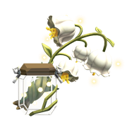 Lily of the Valley
