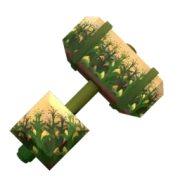 Corn Crops